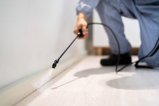 Licensed Cockroach Control service in Lake City, PA - Nex Pest Control