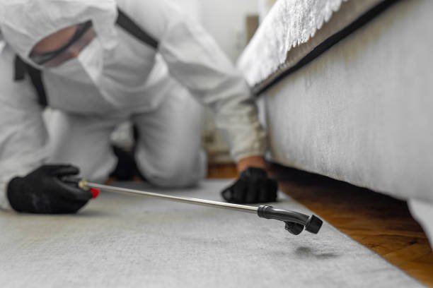 Professional Cockroach Control technician working in Lake City, PA